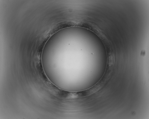 X0000112980613200909031110