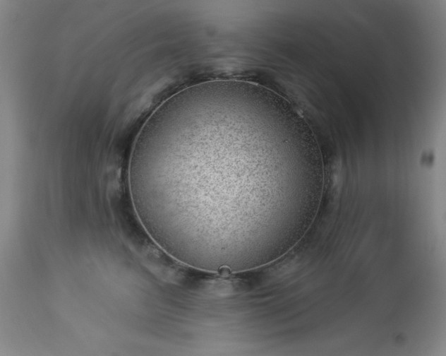 X0000112980615200909031110