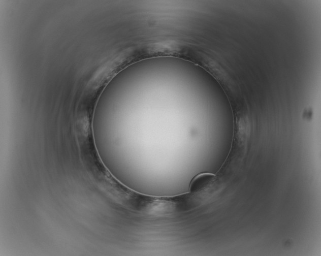 X0000112980617200909031110