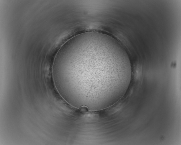 X0000112980619200909031110