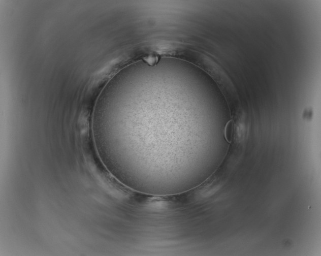 X0000112980620200909031110