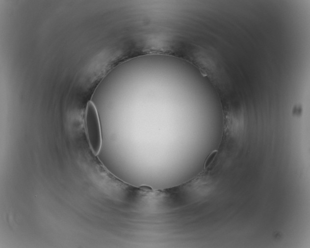 X0000112980621200909031110