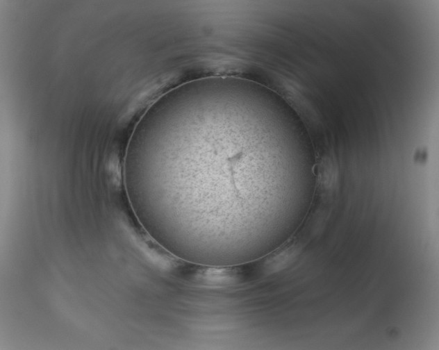 X0000112980622200909031110