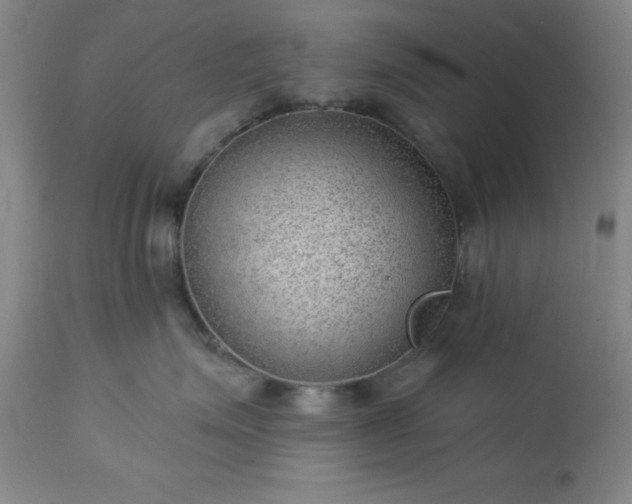 X0000112980623200909031110