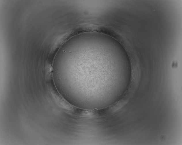 X0000112980624200909031110