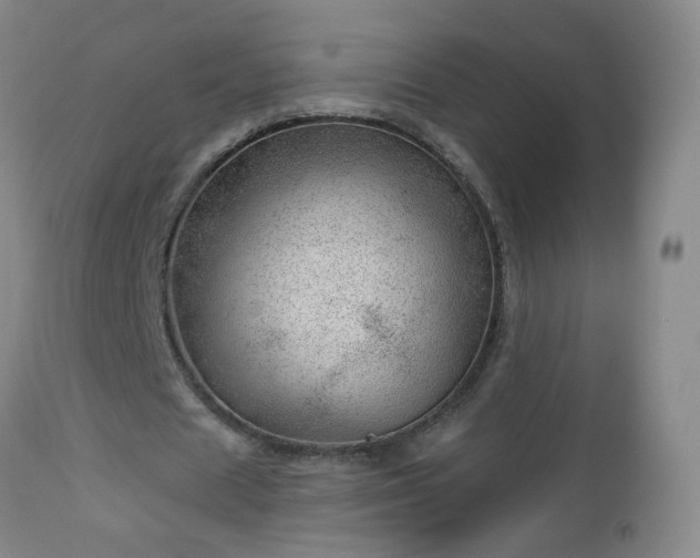 X0000112980625200909031110