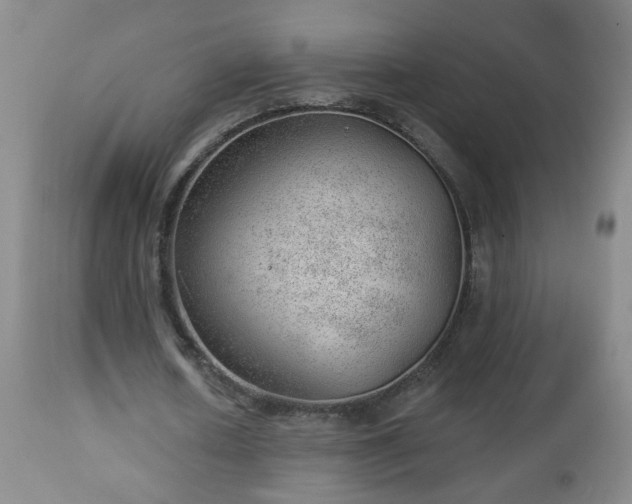 X0000112980626200909031110