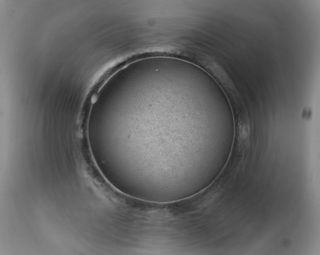 X0000112980628200909031110