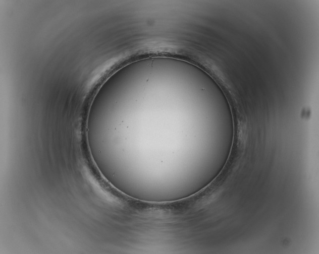 X0000112980629200909031110