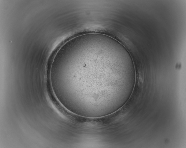 X0000112980630200909031110