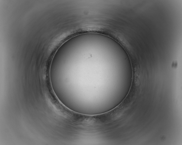 X0000112980631200909031110