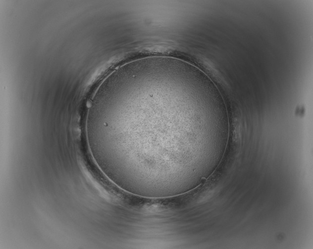 X0000112980634200909031110