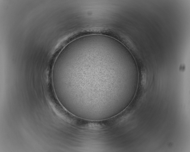 X0000112980636200909031110