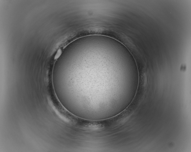 X0000112980638200909031110