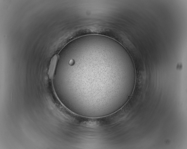 X0000112980639200909031110