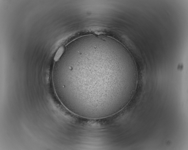 X0000112980640200909031110