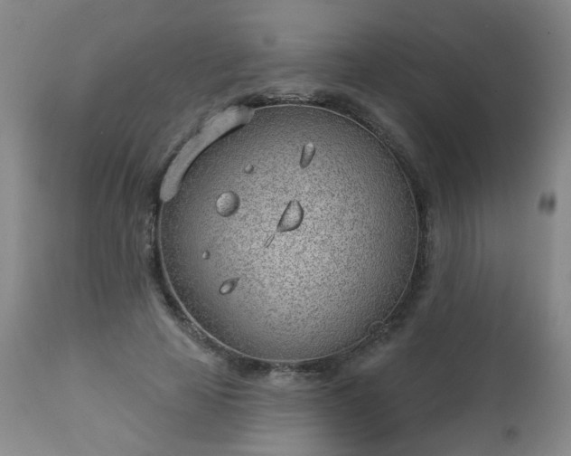 X0000112980641200909031110