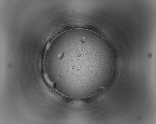 X0000112980642200909031110