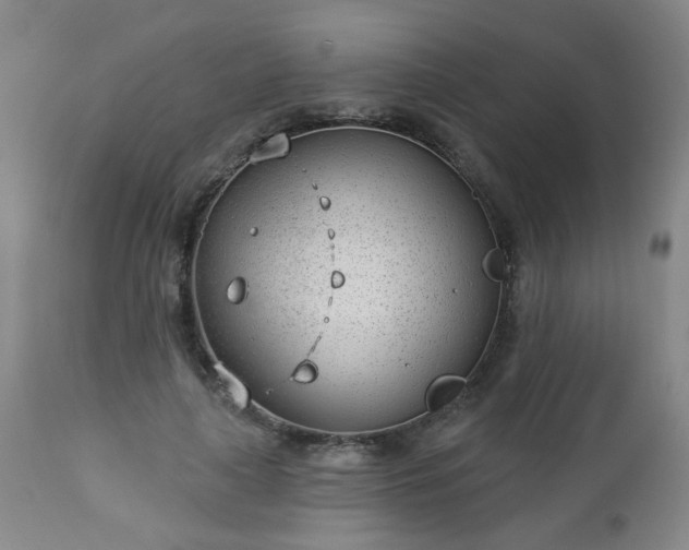 X0000112980643200909031110