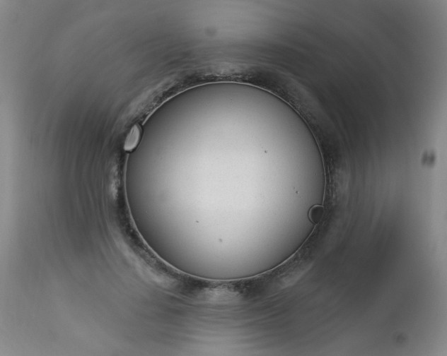 X0000112980644200909031110