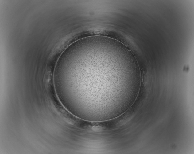 X0000112980645200909031110