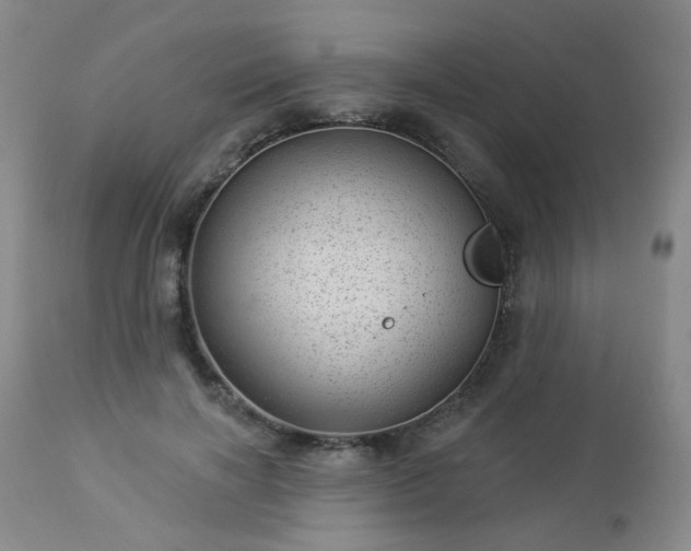 X0000112980646200909031110