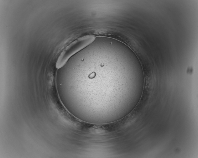 X0000112980648200909031110