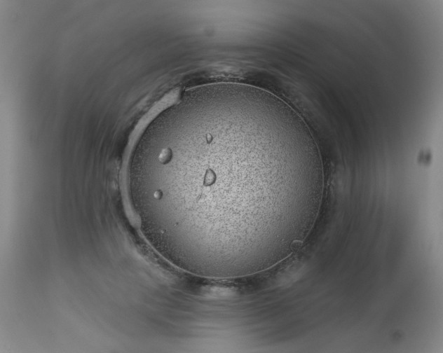 X0000112980649200909031110