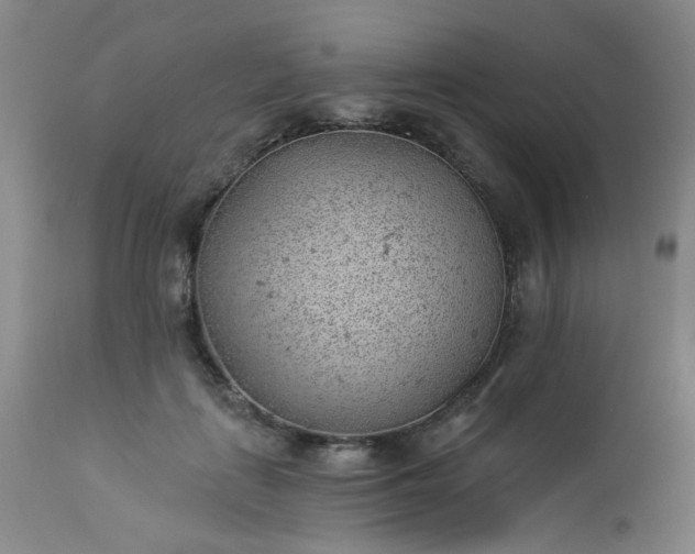 X0000112980651200909031110