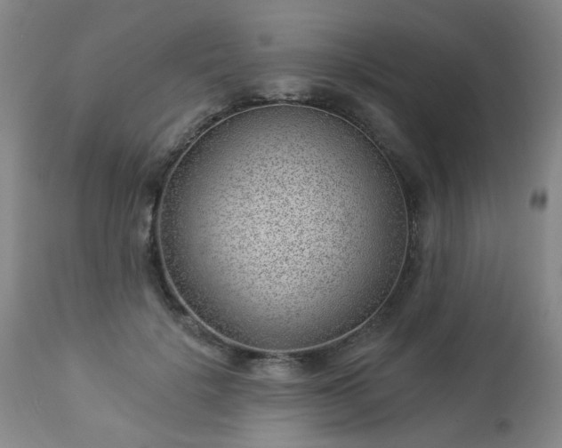 X0000112980652200909031110