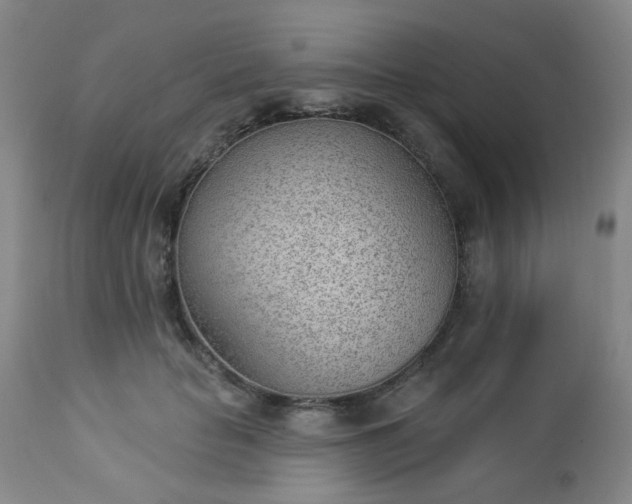 X0000112980653200909031110