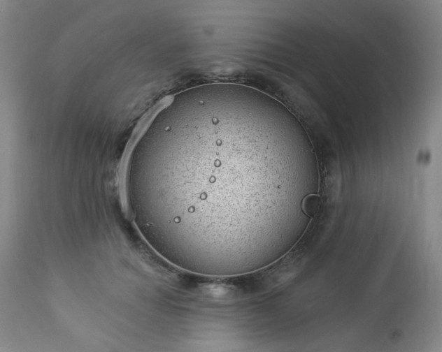 X0000112980654200909031110