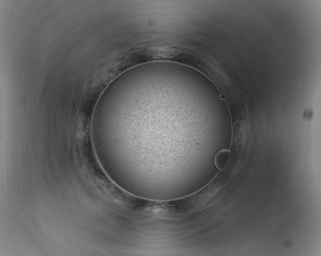 X0000112980655200909031110