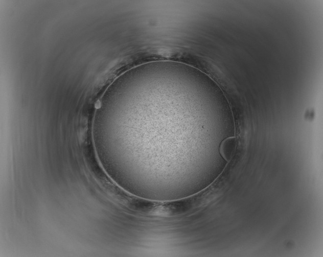 X0000112980656200909031110