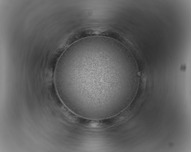 X0000112980657200909031110