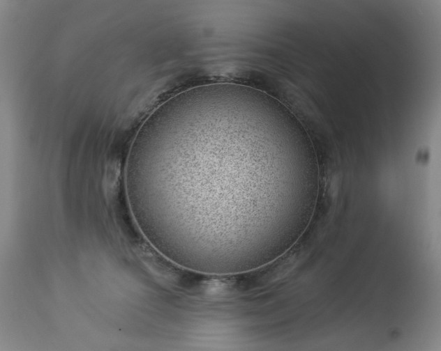 X0000112980660200909031110