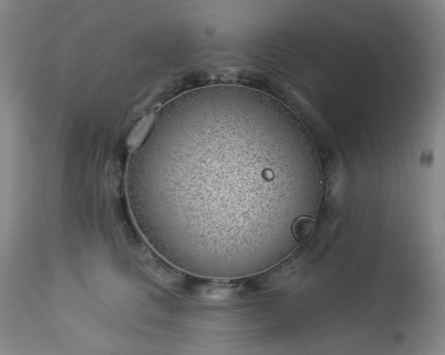 X0000112980661200909031110