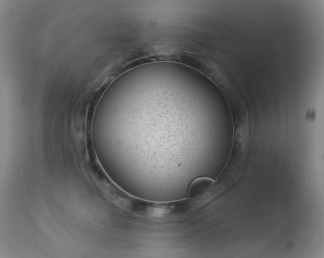 X0000112980662200909031110