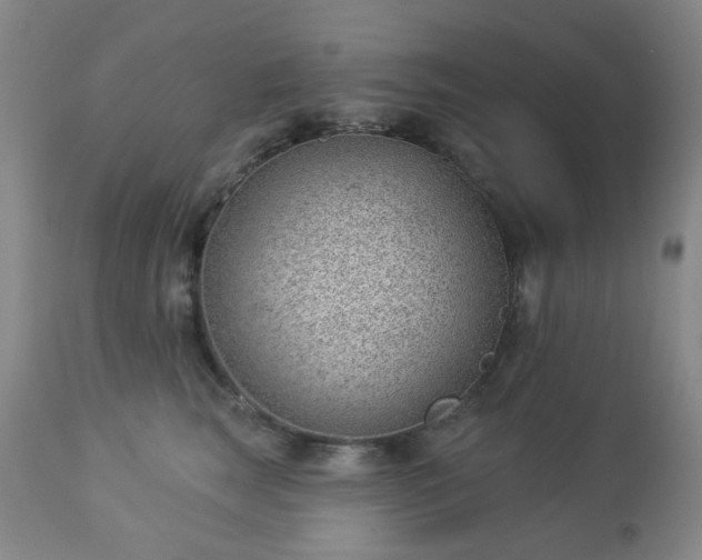 X0000112980663200909031110