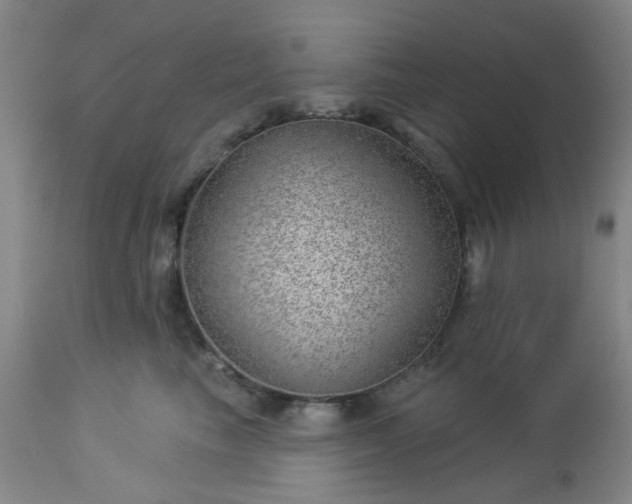 X0000112980665200909031110