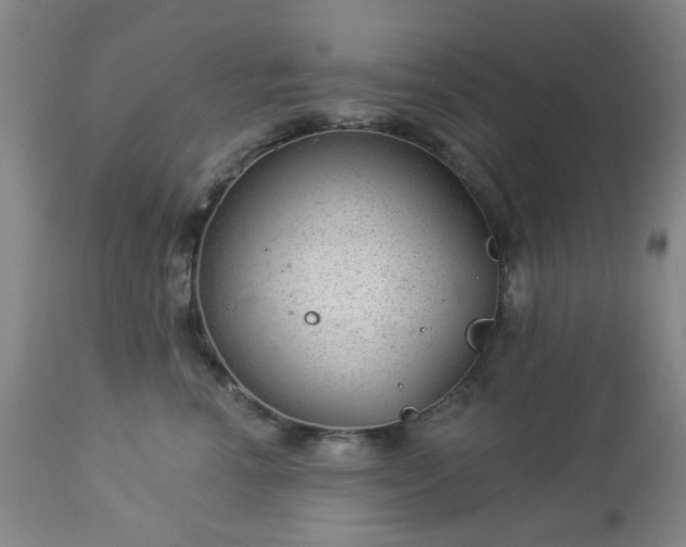 X0000112980666200909031110