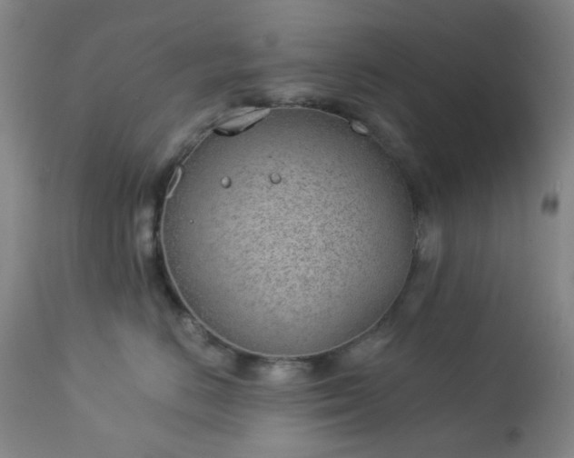 X0000112980670200909031110