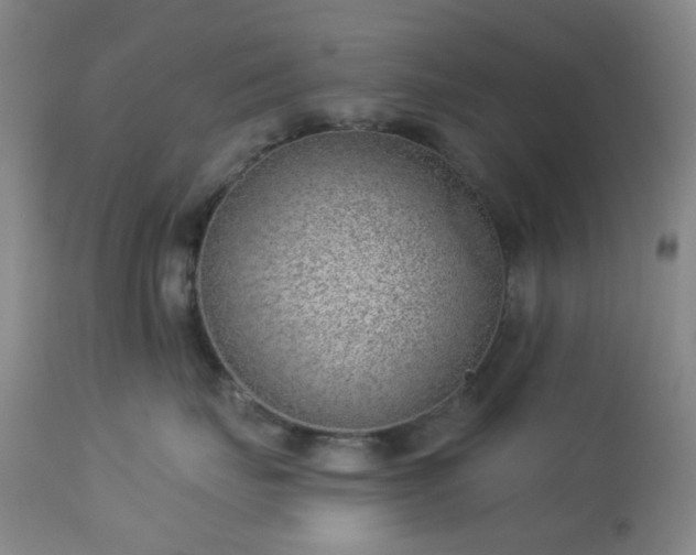 X0000112980671200909031110