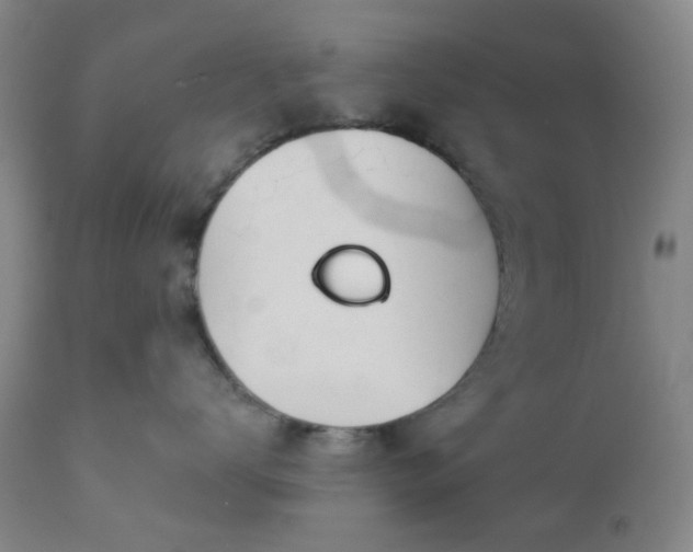 X0000112980672200909031110