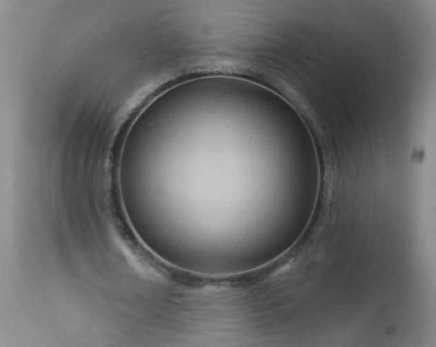 X0000112980674200909031110