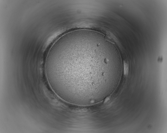 X0000112980675200909031110