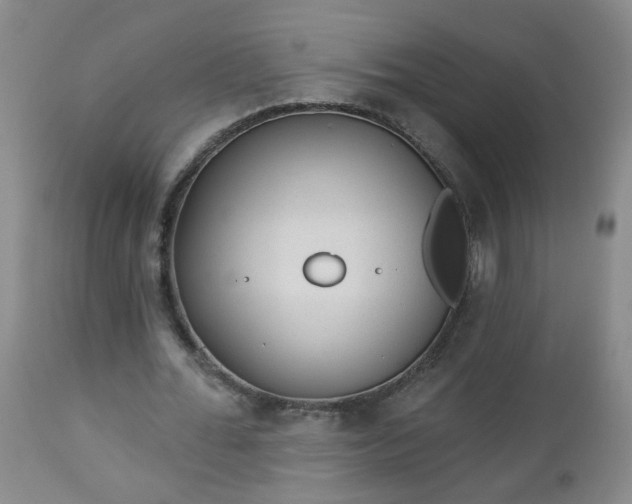 X0000112980676200909031110