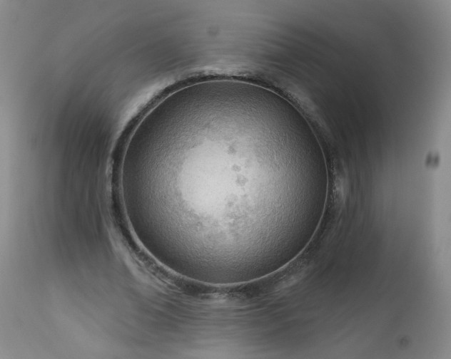 X0000112980678200909031109