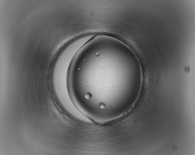 X0000112980684200909031109