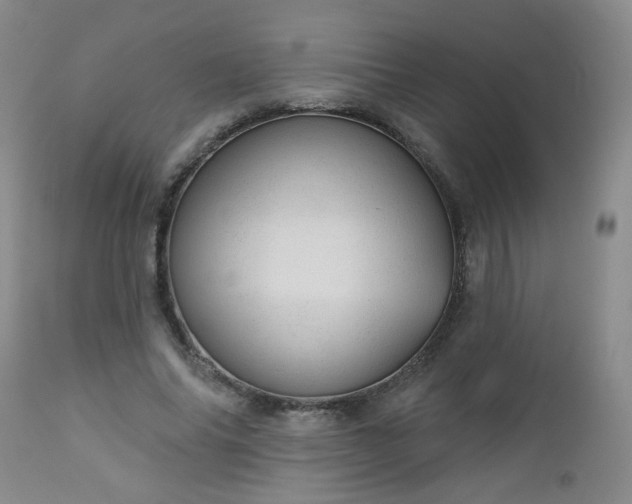 X0000112980686200909031109